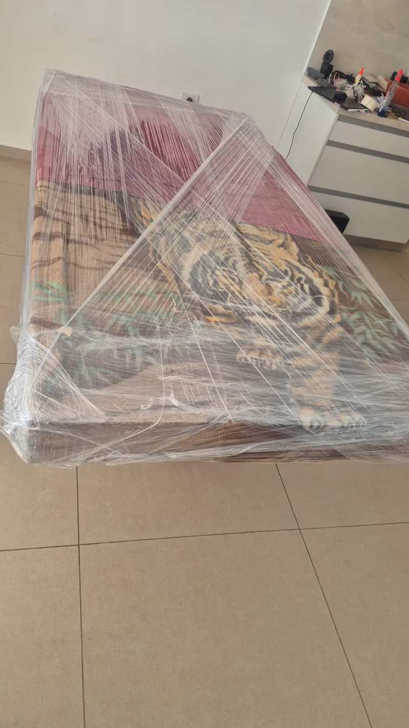 פרויקט הובלה